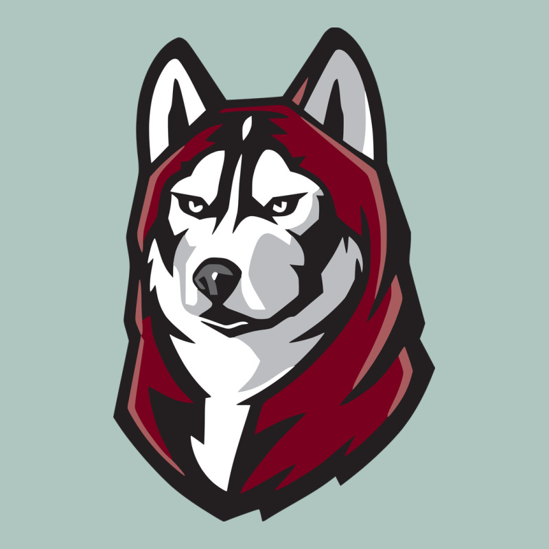 Bloomsburg Huskies Premium Sweatshirt by artisFamous | Teevron
