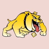 Bowie State Bulldogs Premium Sweatshirt | Teevron