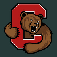 Cornell Big Red Premium Sweatshirt | Teevron