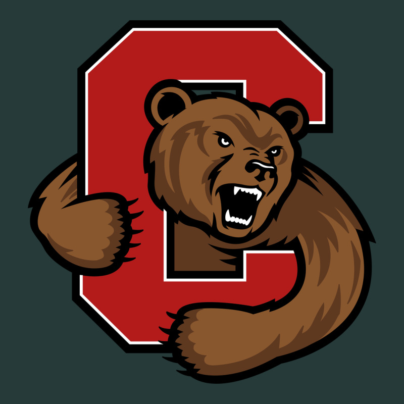Cornell Big Red Premium Sweatshirt by artisFamous | Teevron
