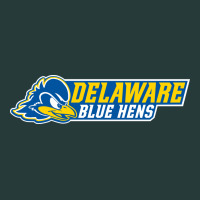 Delaware Fightin' Blue Hens Premium Sweatshirt | Teevron