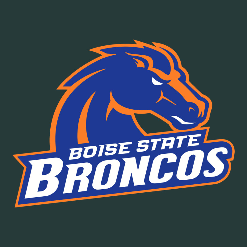 Boise Design Premium Sweatshirt by artisFamous | Teevron