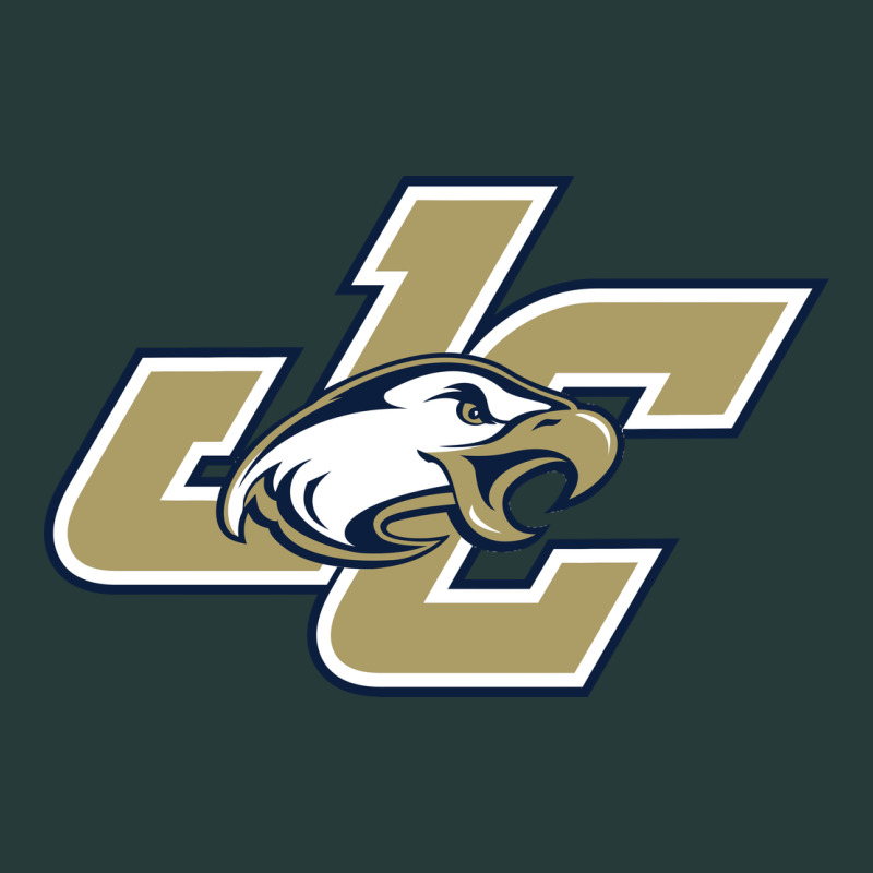 Juniata College Premium Sweatshirt by artisFamous | Teevron