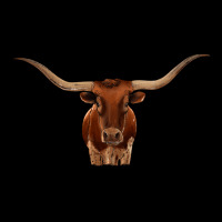 Texas Longhorn Illustration Long Sleeve Tee | Teevron