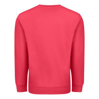 Should've Come With A Warning Premium Sweatshirt | Teevron