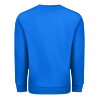 This Is My Significant Otter Premium Sweatshirt | Teevron