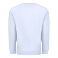 Koi Fish Premium Sweatshirt | Teevron