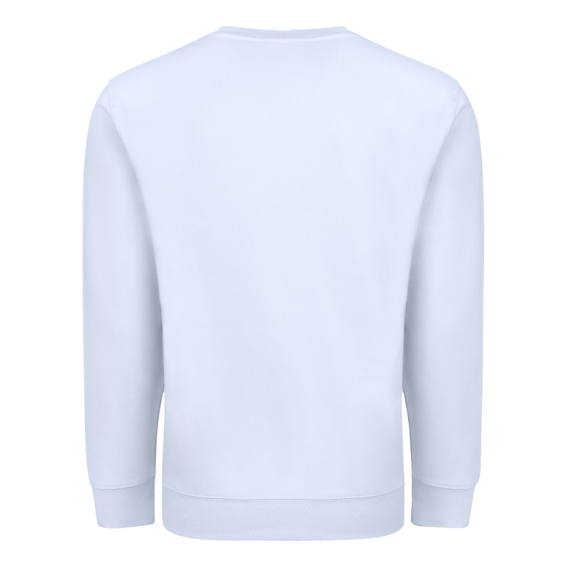Koi Fish Premium Sweatshirt by LillyAllenDesigns | Teevron