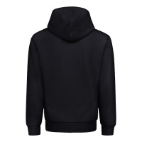 American Flag Eagle Urban Hoodie | Teevron