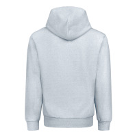 Football Cactus Sunflower Urban Hoodie | Teevron