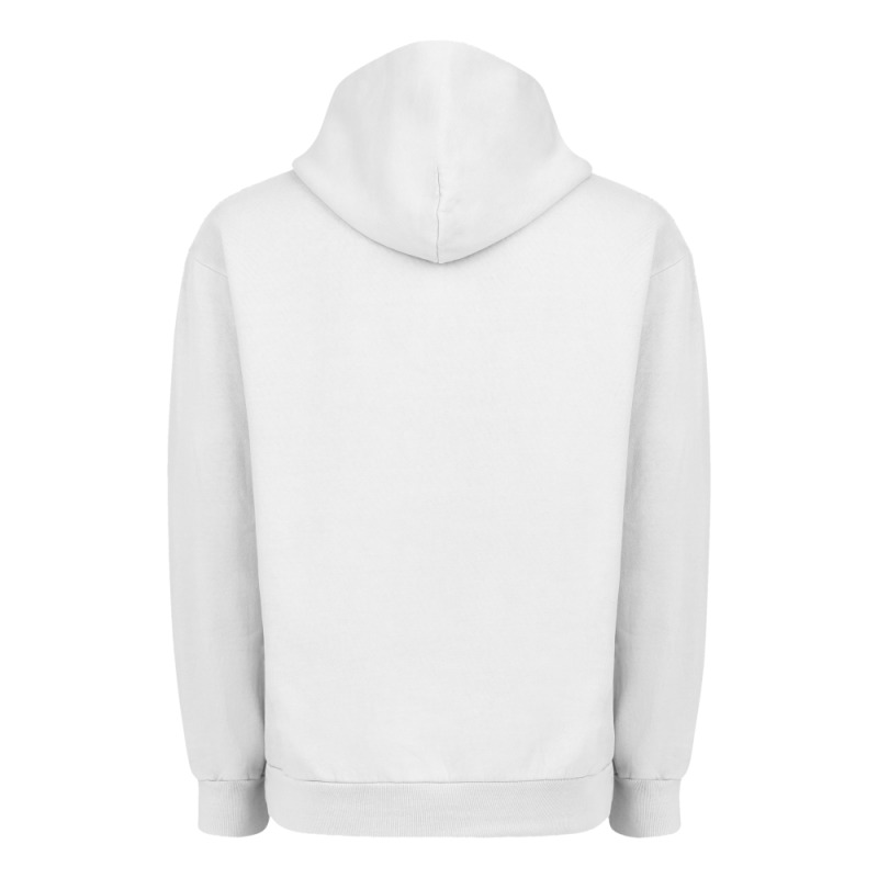 Chameleon Lizard Illustrations Urban Hoodie by LillyAllenDesigns | Teevron
