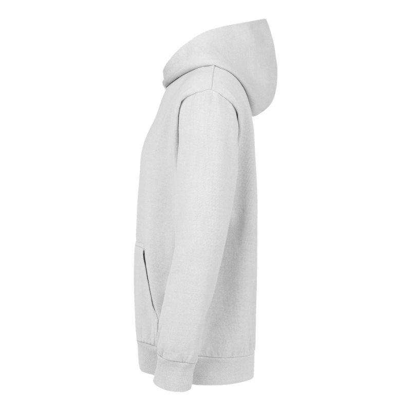Chameleon Lizard Illustrations Urban Hoodie by LillyAllenDesigns | Teevron