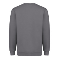 Cheetah Rainbow Heavyweight Sweatshirt | Teevron