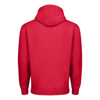 Ballpark Mama Premium Hoodie | Teevron