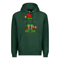 Sports Green christmas elf custom name Premium Hoodie - Artiststas