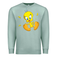 Seafoam tweety bird Premium Sweatshirt - DesigneFamous
