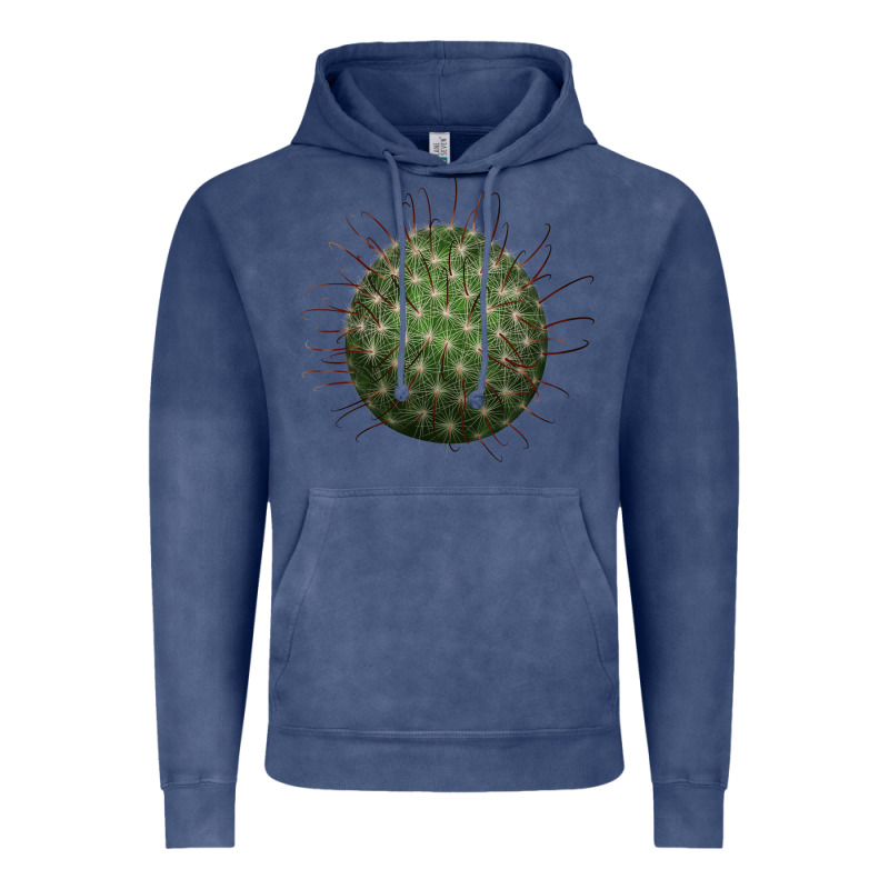 Arizona Fishhook Cactus Vintage Hoodie by LillyAllenDesigns | Teevron