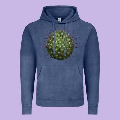 Arizona Fishhook Cactus Vintage Hoodie Designed By Lillyallendesigns