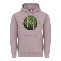 Vintage Zinc Arizona Fishhook Cactus Vintage Hoodie - LillyAllenDesigns