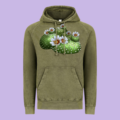Blossfeldia Cactus Vintage Hoodie Designed By Lillyallendesigns