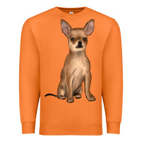 Carrot chihuahua Premium Sweatshirt - JahusDesignShop
