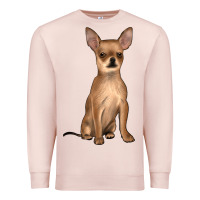 Pale Pink chihuahua Premium Sweatshirt - JahusDesignShop