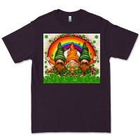 St. Patrick's Day Gnomies Tumbler Premium Tee | Teevron