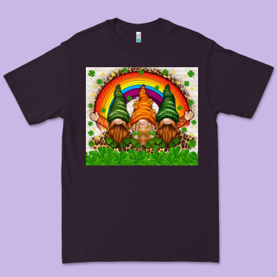 St. Patrick's Day Gnomies Tumbler Premium Tee Designed By Howdyjamesfarm
