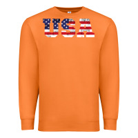 Carrot usa Premium Sweatshirt - DesigneFamous
