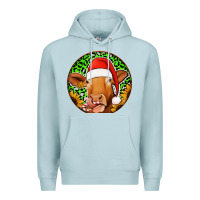 Blue Mist christmas circle earrings Premium Hoodie - Jasminsmagicworld