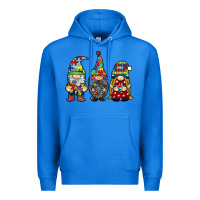True Royal autism gnomies Premium Hoodie - RacoonDesign