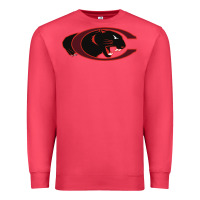 Cardinal claflin, education sport Premium Sweatshirt - linhVisuals