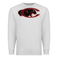 Dove Grey claflin, education sport Premium Sweatshirt - linhVisuals