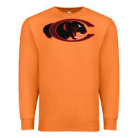 Carrot claflin, education sport Premium Sweatshirt - linhVisuals