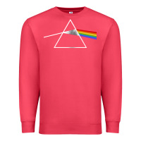 Cardinal the dark side Premium Sweatshirt - linhVisuals