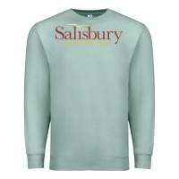 Seafoam salisbury university Premium Sweatshirt - linhVisuals