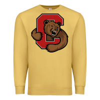 Antique Gold The cornell big red Premium Sweatshirt - linhVisuals