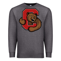 Charcoal Heather The cornell big red Premium Sweatshirt - linhVisuals