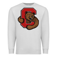 Dove Grey The cornell big red Premium Sweatshirt - linhVisuals