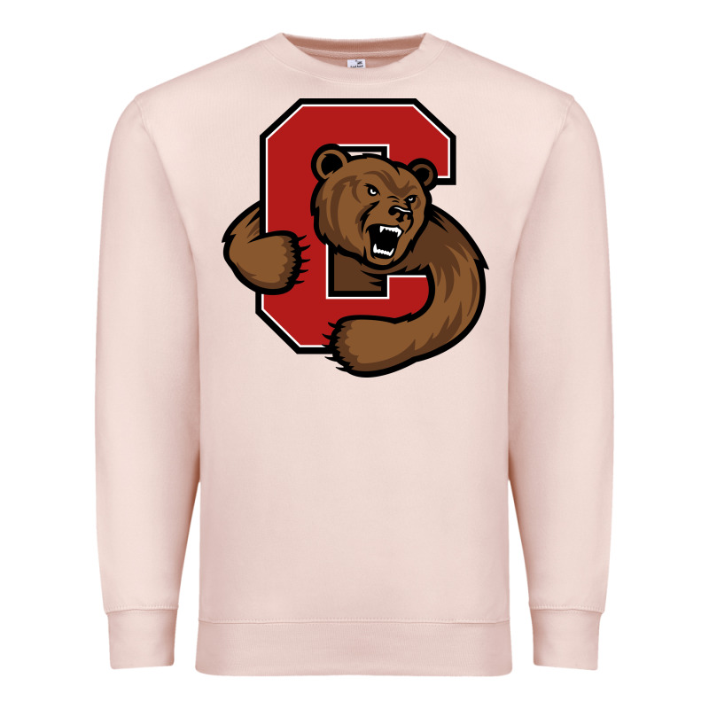 The Cornell Big Red Premium Sweatshirt by linhVisuals | Teevron