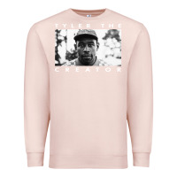 Pale Pink tyler the creator Premium Sweatshirt - linhVisuals