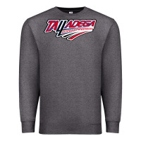 Charcoal Heather Talladega Superspeedway Premium Sweatshirt - linhVisuals