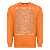Carrot joy division Premium Sweatshirt - linhVisuals