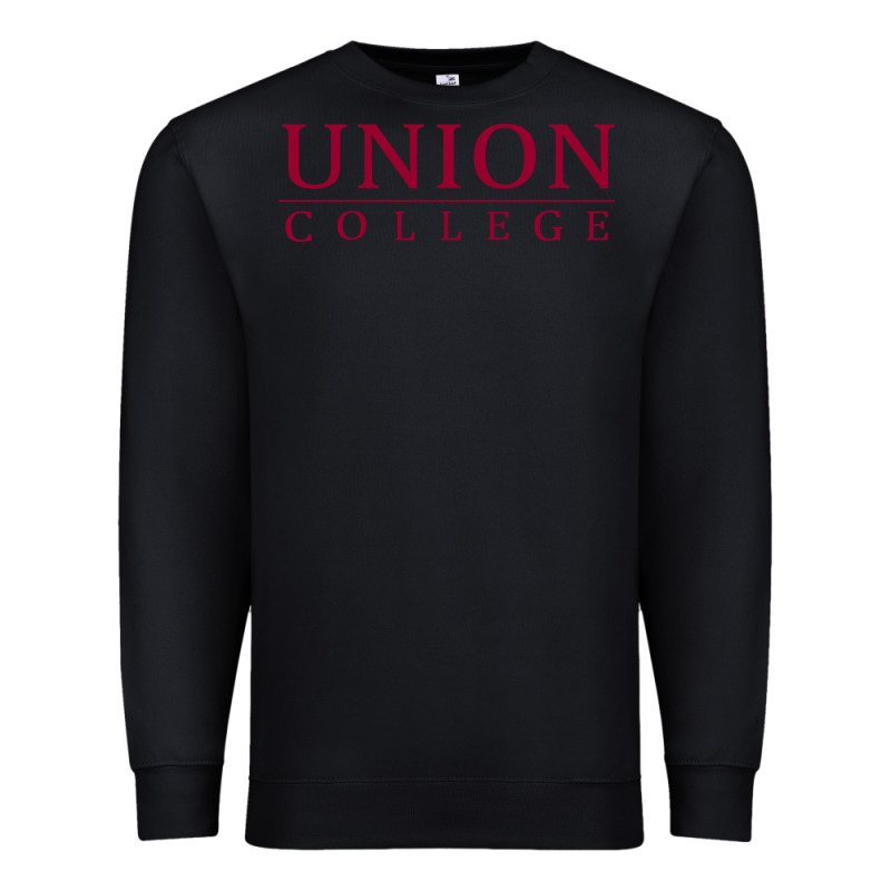 Union College Premium Sweatshirt by linhVisuals | Teevron
