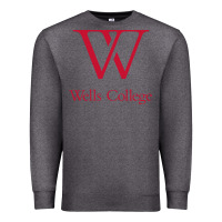 Charcoal Heather wells college Premium Sweatshirt - linhVisuals