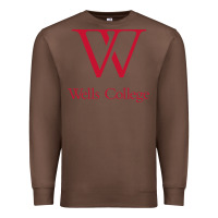 Chestnut wells college Premium Sweatshirt - linhVisuals