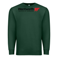 Sports Green wentworth institute of technology Premium Sweatshirt - linhVisuals