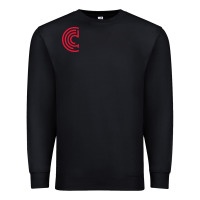 Black columbus college of art and design Premium Sweatshirt - linhVisuals