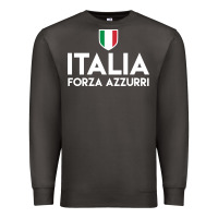 Italia Soccer Jersey Premium Sweatshirt | Teevron