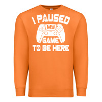 Carrot i paused my game to be here Premium Sweatshirt - linhVisuals